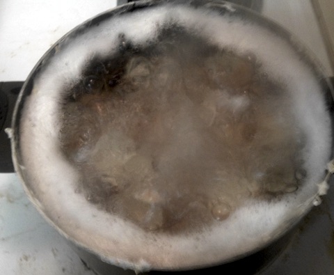 Eggshells in boiling water